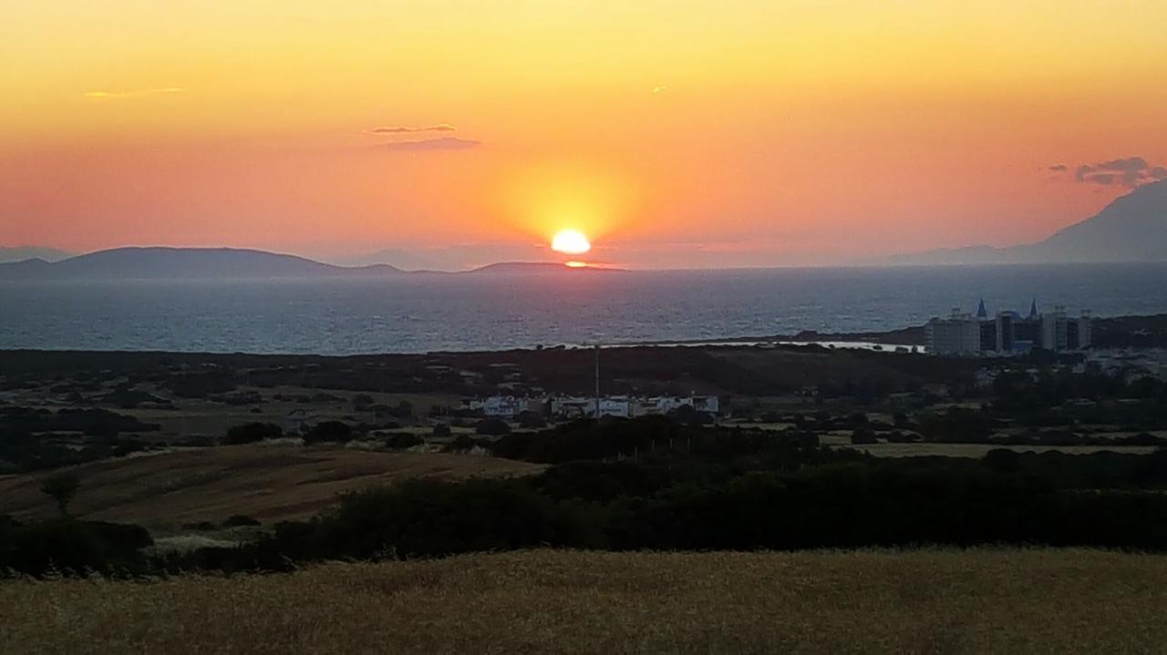 Mavi Pansiyon & Restaurant Didim Zewnętrze zdjęcie
